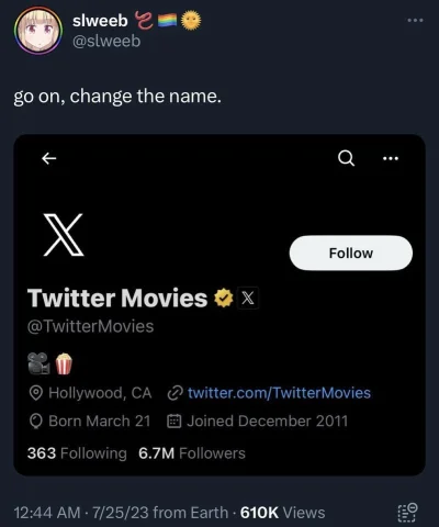 P-v-E - #heheszki #musk #twitter