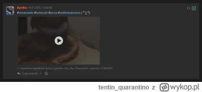 tentin_quarantino - poprawiono stylowanie miniaturki osadzonego filmu
