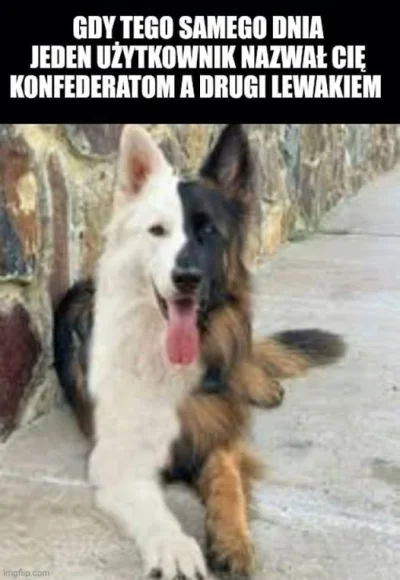 adamssson - Na wykopie mam tak codziennie