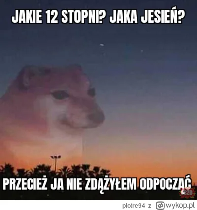 piotre94 - Oddawać ciepło oszuści!!! #pogoda #humorobrazkowy