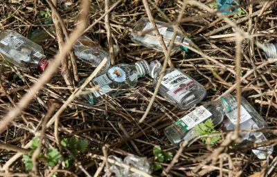 frutson - rząd jest zbyt niekompetentny a lobby meneli kloszardów jest zbyt silne, że...