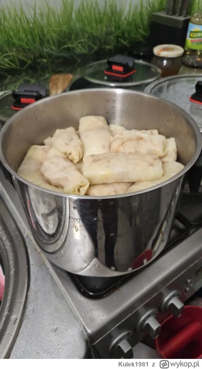 Kulek1981 - Z jednej kapusty pół kilo ryżu i kilograma mielonego. Po grobbingu, nie b...
