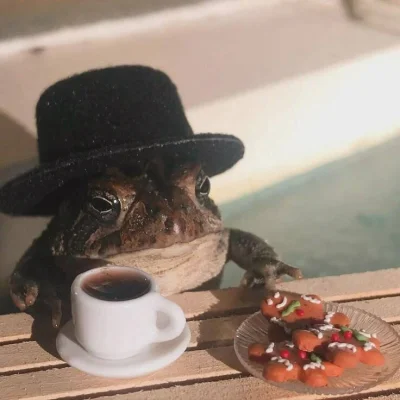 Imitacja_czlowieka - Dzień dobry #przegryw