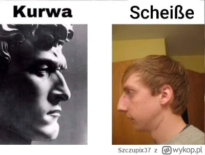 Szczupix37 - #heheszki #humorobrazkowy