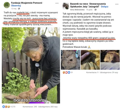 WielkiNos - @sirdam pogryzienia saren, łosi, wiewiórek, jeży i ptaków, bo kundel się ...