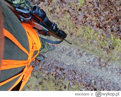 michorn - Darz Bór!