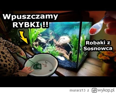 murarz13 - Pierwsze ofiary... Szymek szczęśliwy.

#kikiswiat