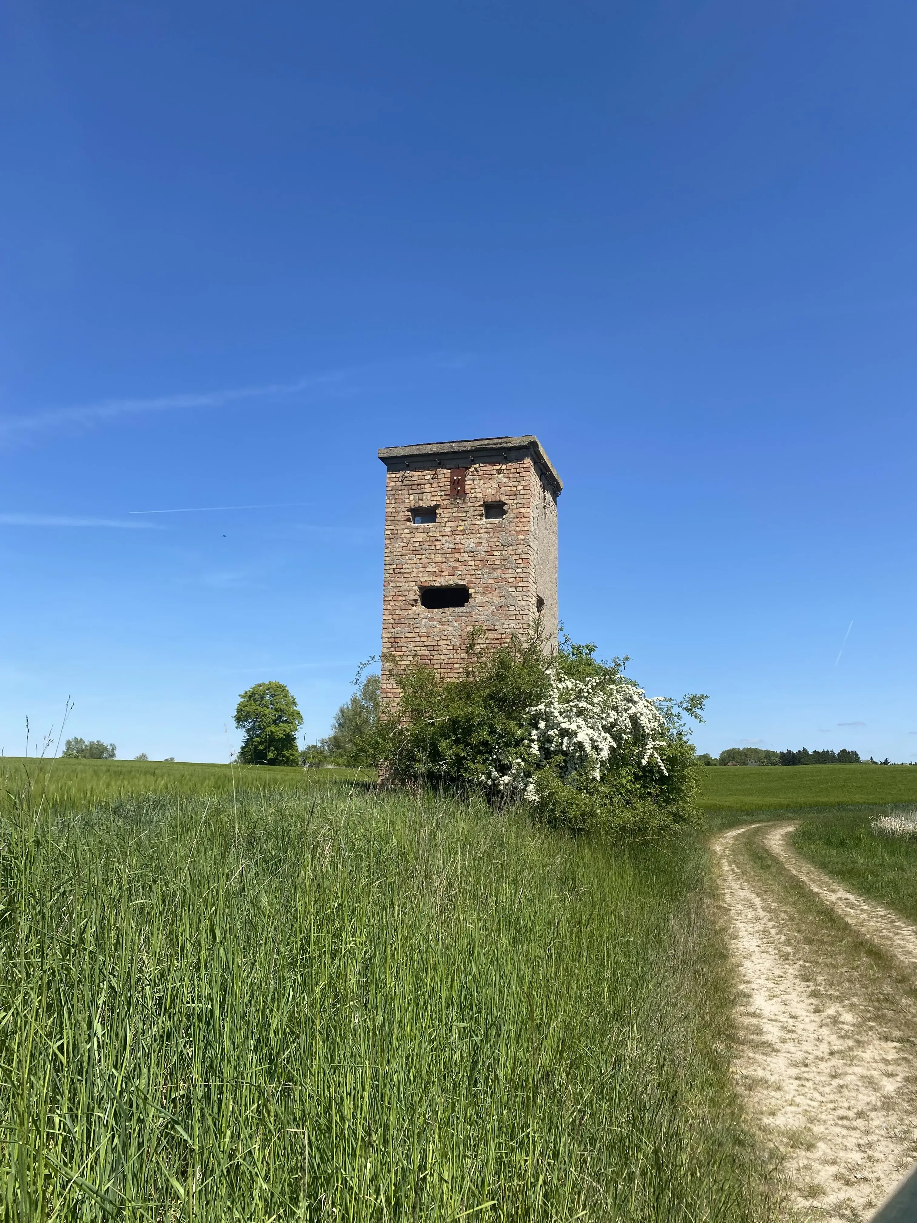 wfyokyga - ( ͡° ͜ʖ ͡°)