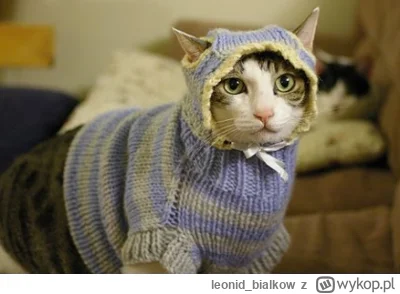 leonid_bialkow - @PorzeczkowySok: ehhh