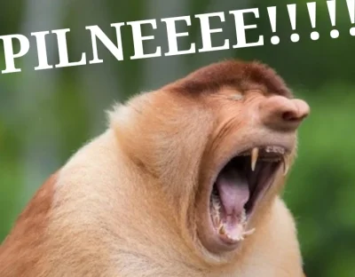 ryhu - Nie mogło być "Portugalia ostrzega", nie musi być "europejski kraj" %, żeby by...