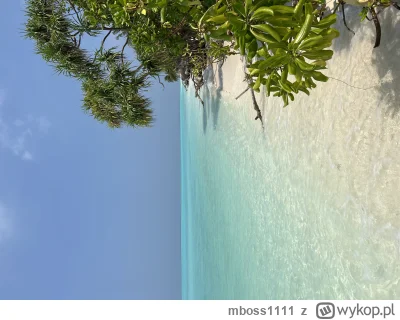 mboss1111 - Moczę właśnie nogi na plaży na Malediwach podczas gdy ocean wyrzuca obok ...