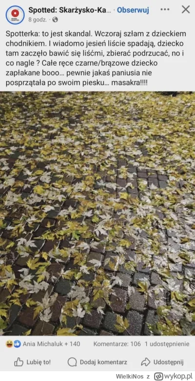 WielkiNos - Nawet się dzieci nie mogą normalnie pobawić jesienią i sobie popodrzucać ...