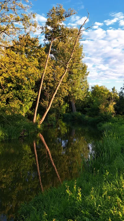 Arvin - #spierdotrip #przegryw