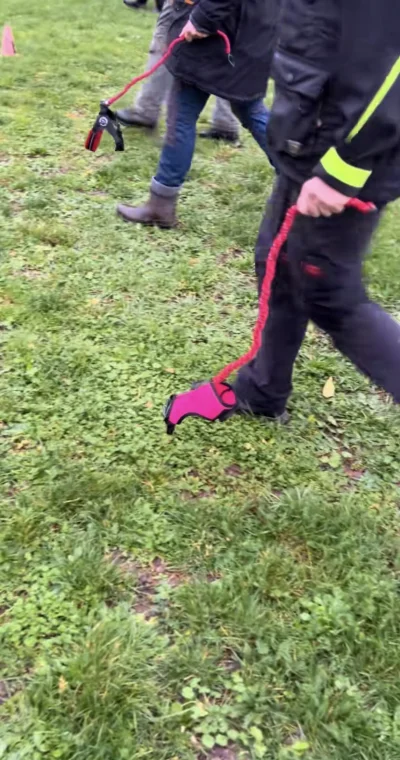 greedy_critic - Znalazłem idealne zajęcie dla psiarzy, czyli hobbydogging. Przydatne ...