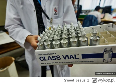 Sweet-Jesus - Są to pojemniki na radioizotopy które są wkładane do wnętrza rdzenia re...