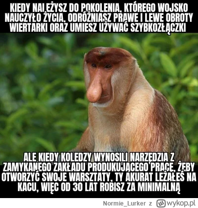 Normie_Lurker - #janusze #nosacz #bekazpolakow #takaprawda #humorobrazkowy