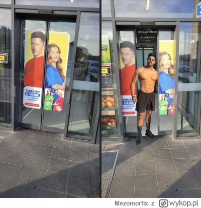 Mezomorfix - #p0lka #blackpill #przegryw #kukold