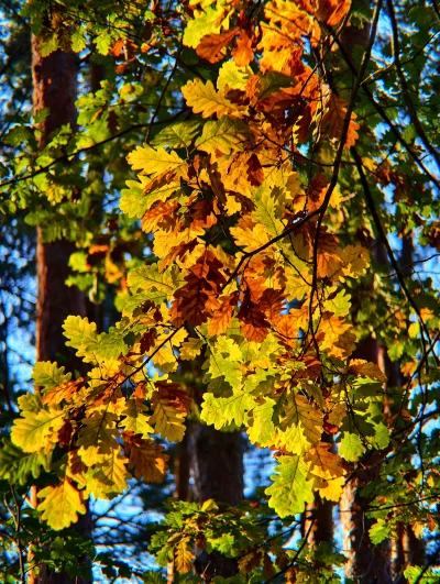 KrzysztofWu - @KrzysztofWu: