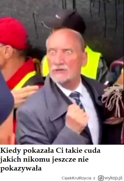 CipakKrulRzycia - #macierewicz #bekazpisu #heheszki #polityka