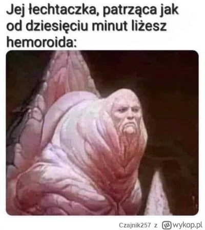 Czajnik257 - @luigi_pl (⌐ ͡■ ͜ʖ ͡■)