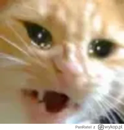 PanRatel - @rzepamalinoa