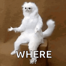 w.....m - @wybryk_natury Gdzie kitek albo psiur na memiku? |૦ઁ෴૦ઁ|