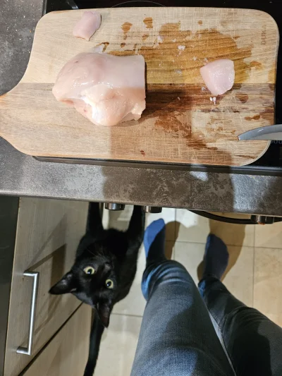 RicoElectrico - @paciak11: też tak miałem xD
Choć częściej to żebrze o gotowane żółtk...