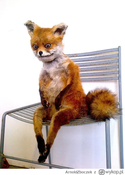 ArnoldZboczek - Jak tam portfolio? Zmalało? Urosło? ( ͡° ͜ʖ ͡°)
#kryptowaluty #bitcoi...