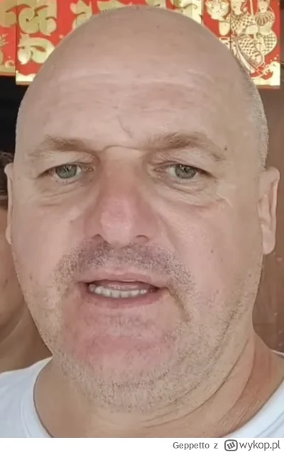 Geppetto - #raportzpanstwasrodka żółw z Kambodży