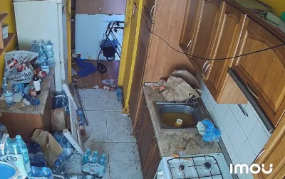 WolnyBLN - #danielmagical #patostreamy