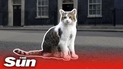 TwojHimars - Larry, 17-letni kot mieszkający na Downing Street i dbający by w domu ni...