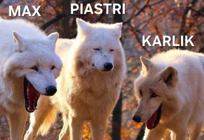 japaapa - Atmosferka na podium TOP
#f1