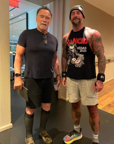 tomwick55 - Cm Punk ma 185 cm pisze, a Arnold Schwarzenegger 188 cm, dlaczego na zdję...