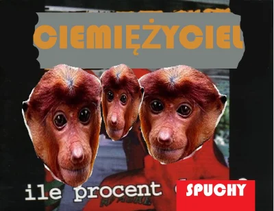 poranna-sztyca - aaa pjoter wyłoncz te gitary!!!
#konkursnanajbardziejgownianymemznos...