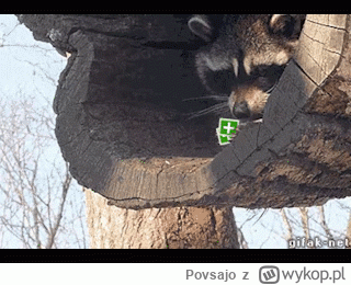 Povsajo - @VigoVonHomburg_Deutschendorf: