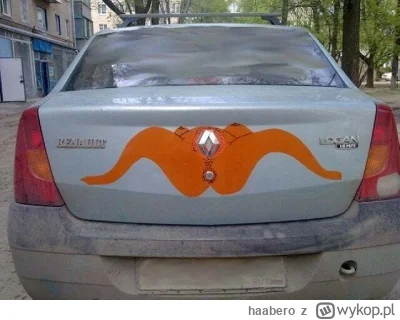 haabero - @wscieklykabanos: