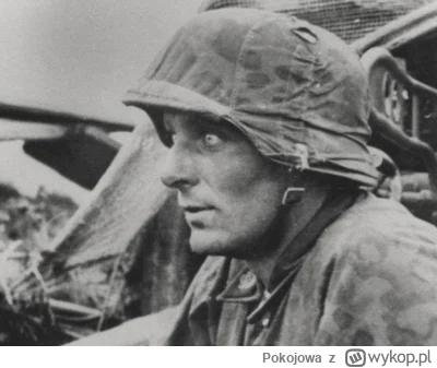 Pokojowa - Narkotyki dla żołnierzy niemieckich, 1939 r. 

Żołnierze Wehrmachtu otrzym...