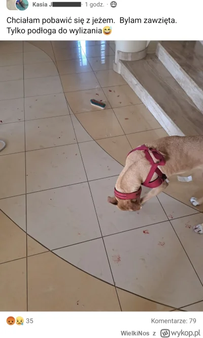 WielkiNos - @arapv jeże są super. Oczywiście nie dla psiarzy, dla nich to zabawki dla...