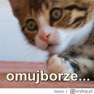 Quazu - @77adam: O ja p------e, ale mnie ujęła twoja analiza