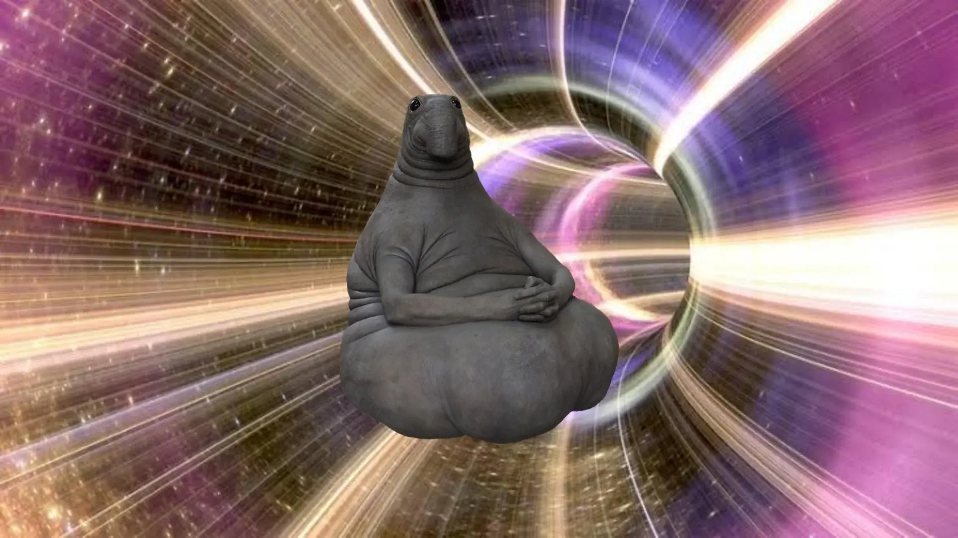 wfyokyga - W ogóle mnie nie jebło