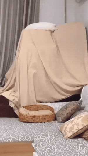 DepartmentOfUnderpeople - jenyyy dajcie już te wyniki
#eurowizja