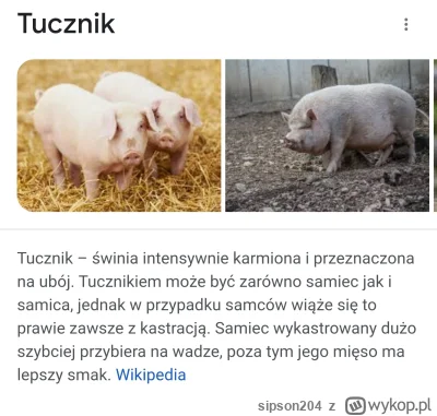 sipson204 - ,,Tucznik - świnia intensywnie karmiona" - to by sie zgadzało ( ͡° ͜ʖ ͡°)...