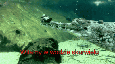 qew12 - @staryhuop0: nudziło mi sie zrobiłem gifa