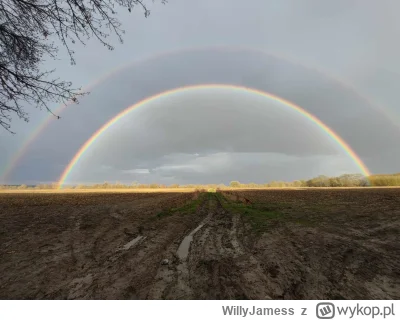 WillyJamess - Dzisiejszy spacerek nad Wisłę w #torun

#mojezdjecie #estetyczneobrazki...