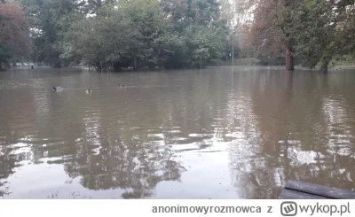 anonimowyrozmowca - #wroclaw #powodz #klecina

park klecinski