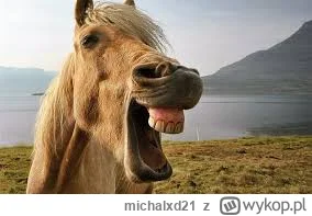 michalxd21 - Nikt: 
Jan Bednarek w trakcie meczu: *oddycha 

#mecz #reprezentacja #ka...