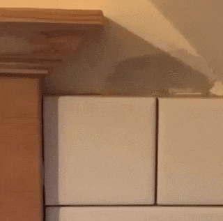 wfyokyga - #nieboperfekcjonistow