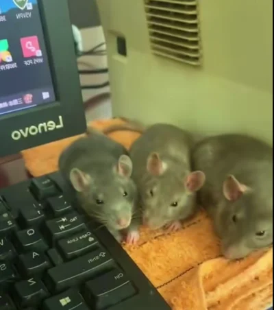 DziecizChoroszczy - Ja już nie wiem, co się wyprawia w tym domu...
¯\(ツ)/¯