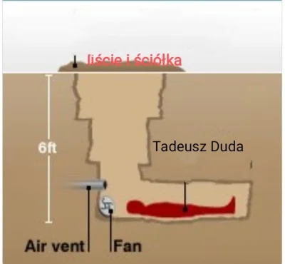 KUPSZTALUNGUS_MAXIMUS - #limanowa