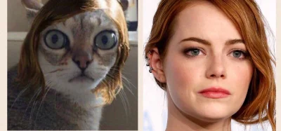 fledgeling - @solejukowski 

Dobra znalazlem Emma Stone